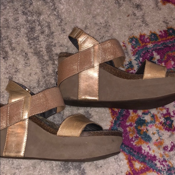 OTBT Bushnell - Picture 4 of 4